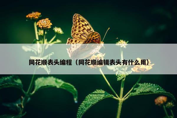 同花顺表头编程（同花顺编辑表头有什么用）