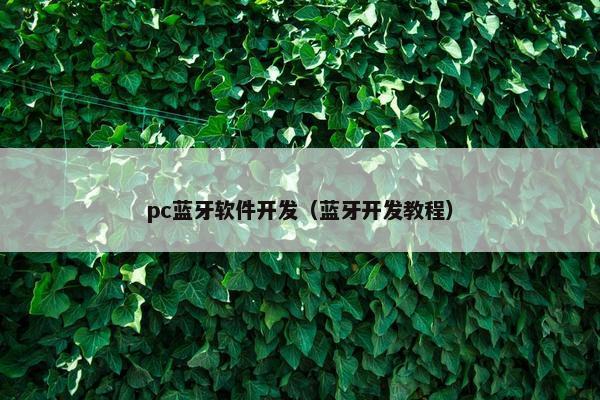 pc蓝牙软件开发（蓝牙开发教程）