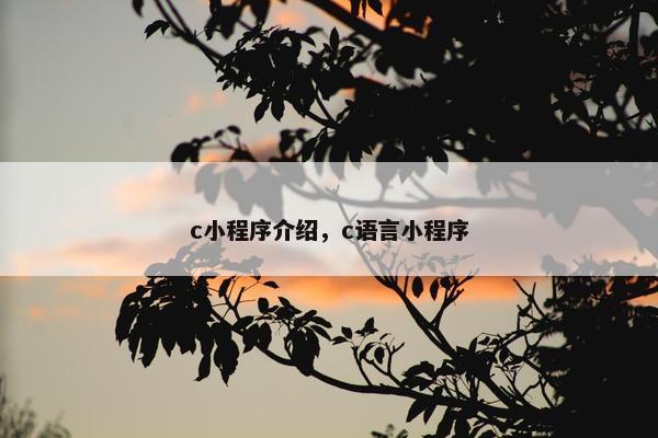 c小程序介绍，c语言小程序