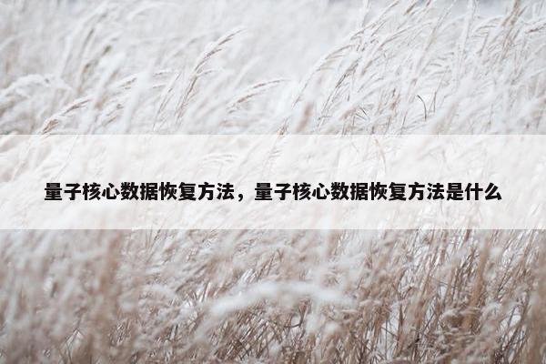量子核心数据恢复方法，量子核心数据恢复方法是什么