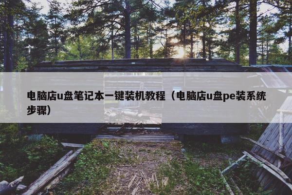 电脑店u盘笔记本一键装机教程（电脑店u盘pe装系统步骤）
