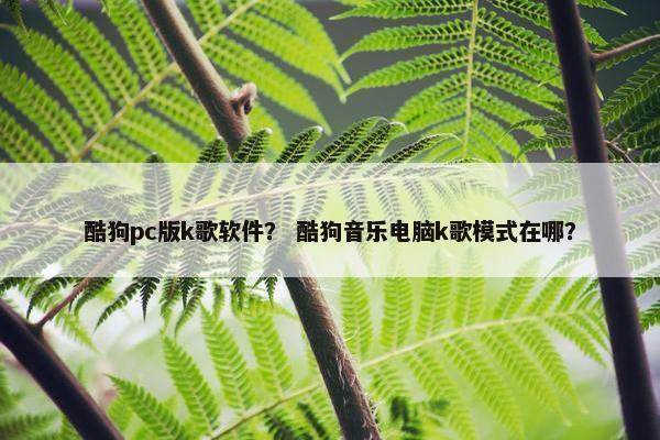 酷狗pc版k歌软件？ 酷狗音乐电脑k歌模式在哪？
