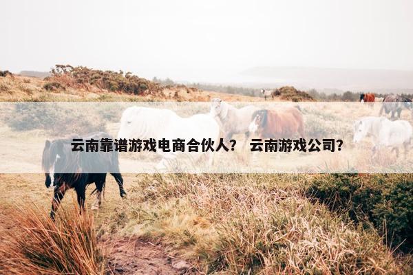 云南靠谱游戏电商合伙人？ 云南游戏公司？