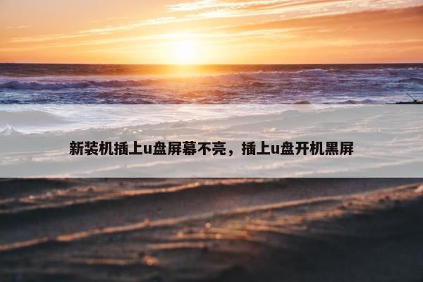 新装机插上u盘屏幕不亮，插上u盘开机黑屏