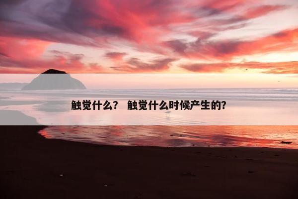 触觉什么？ 触觉什么时候产生的？