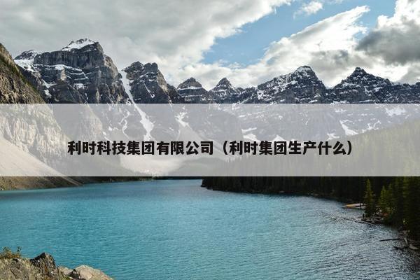 利时科技集团有限公司（利时集团生产什么）