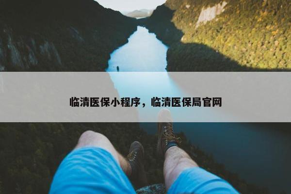 临清医保小程序，临清医保局官网