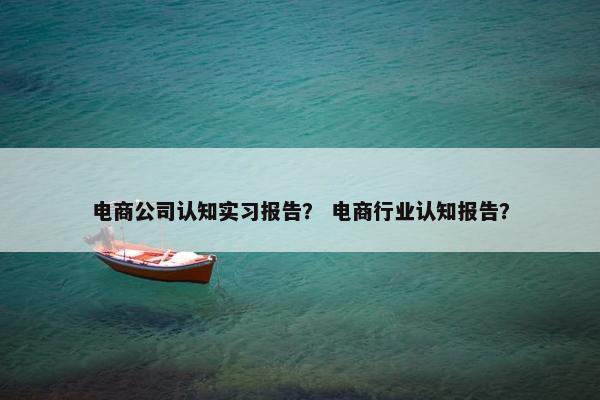 电商公司认知实习报告？ 电商行业认知报告？