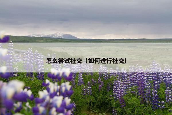 怎么尝试社交（如何进行社交）
