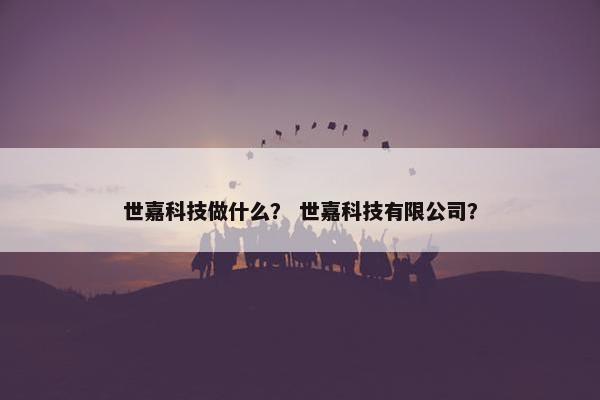 世嘉科技做什么？ 世嘉科技有限公司？