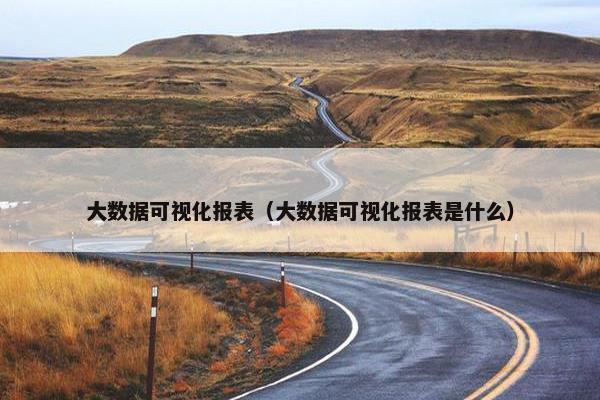 大数据可视化报表（大数据可视化报表是什么）