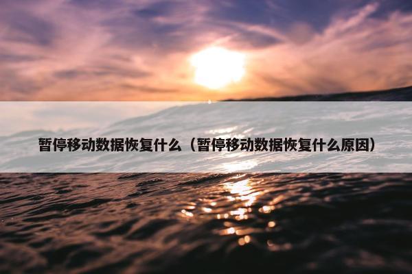 暂停移动数据恢复什么（暂停移动数据恢复什么原因）