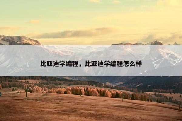 比亚迪学编程，比亚迪学编程怎么样