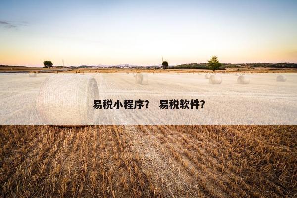 易税小程序？ 易税软件？