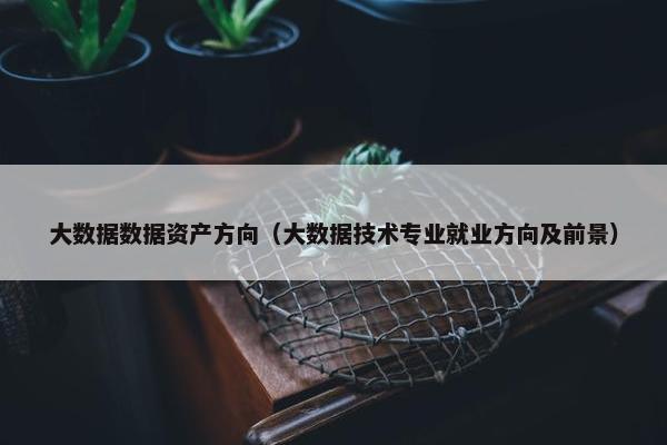 大数据数据资产方向（大数据技术专业就业方向及前景）