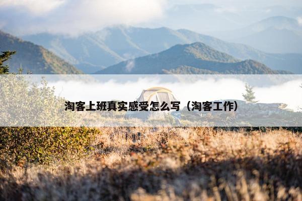 淘客上班真实感受怎么写（淘客工作）