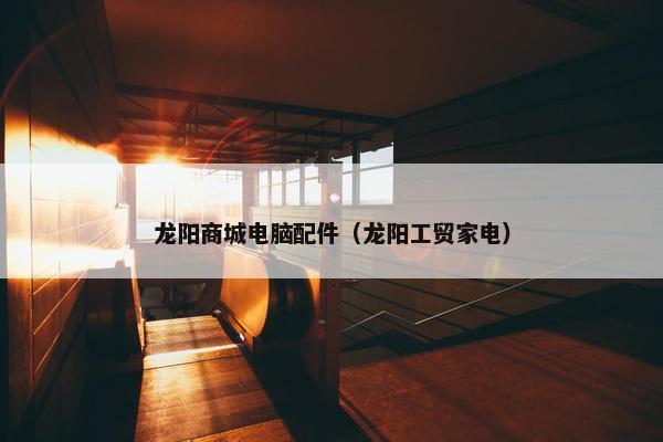 龙阳商城电脑配件（龙阳工贸家电）