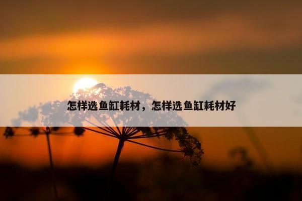 怎样选鱼缸耗材，怎样选鱼缸耗材好