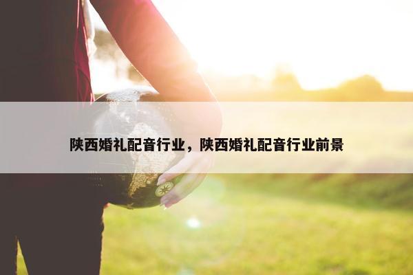 陕西婚礼配音行业，陕西婚礼配音行业前景