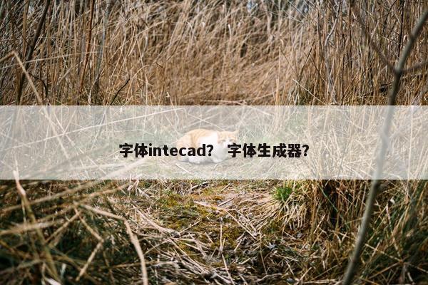 字体intecad？ 字体生成器？