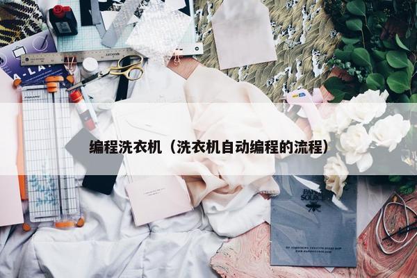 编程洗衣机（洗衣机自动编程的流程）