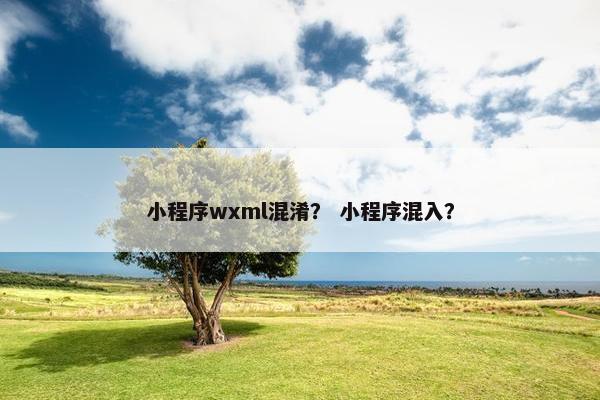 小程序wxml混淆？ 小程序混入？