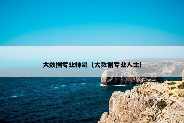 大数据专业帅哥（大数据专业人士）