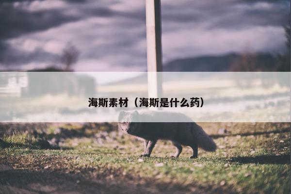 海斯素材（海斯是什么药）