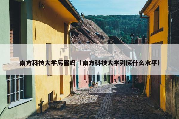 南方科技大学厉害吗（南方科技大学到底什么水平）