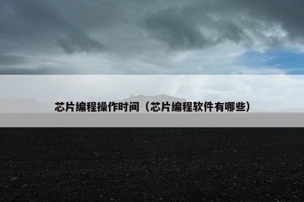 芯片编程操作时间（芯片编程软件有哪些）
