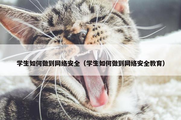 学生如何做到网络安全（学生如何做到网络安全教育）