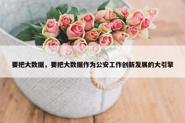 要把大数据，要把大数据作为公安工作创新发展的大引擎