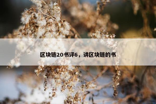 区块链20书评6，讲区块链的书
