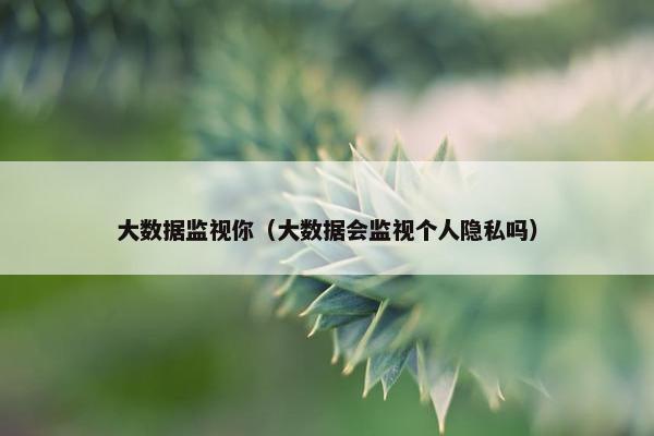大数据监视你（大数据会监视个人隐私吗）