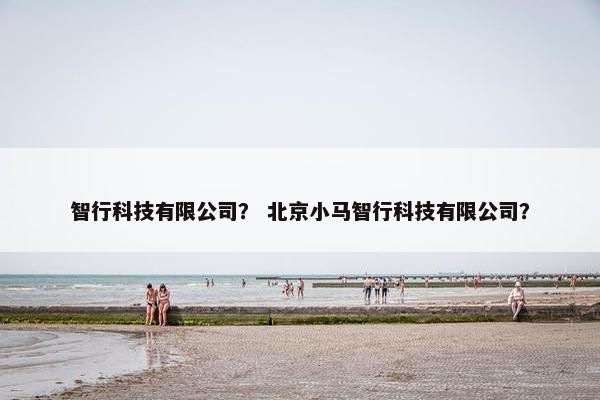 智行科技有限公司？ 北京小马智行科技有限公司？