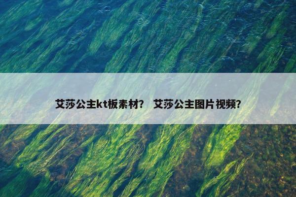 艾莎公主kt板素材？ 艾莎公主图片视频？