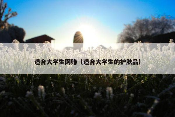 适合大学生网赚（适合大学生的护肤品）