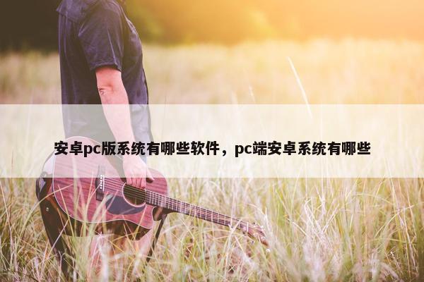 安卓pc版系统有哪些软件，pc端安卓系统有哪些