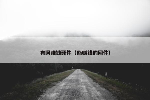 有网赚钱硬件（能赚钱的网件）