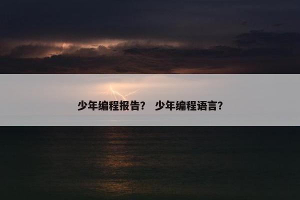 少年编程报告？ 少年编程语言？