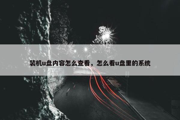 装机u盘内容怎么查看，怎么看u盘里的系统