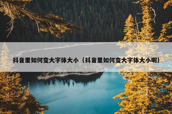 抖音里如何变大字体大小（抖音里如何变大字体大小呢）