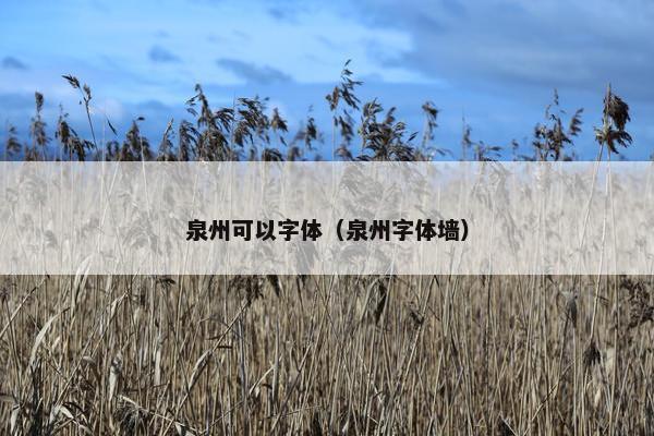泉州可以字体（泉州字体墙）