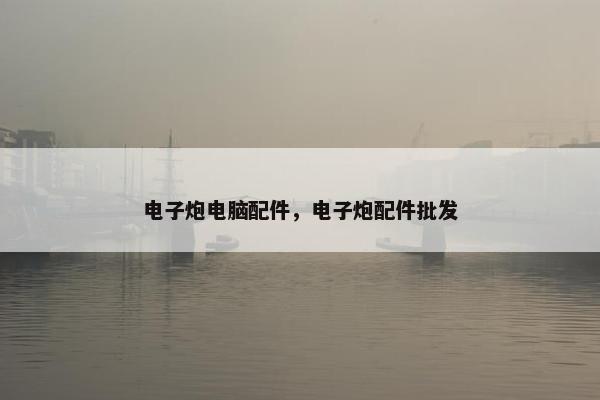 电子炮电脑配件，电子炮配件批发