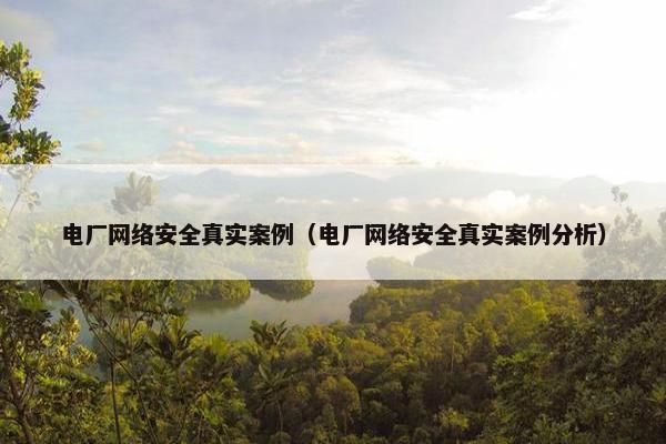 电厂网络安全真实案例（电厂网络安全真实案例分析）