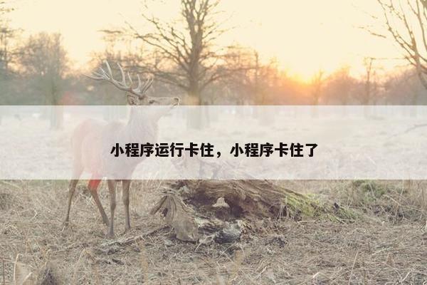 小程序运行卡住，小程序卡住了