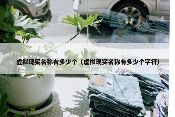 虚拟现实名称有多少个（虚拟现实名称有多少个字符）