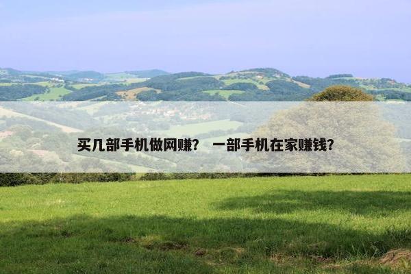 买几部手机做网赚？ 一部手机在家赚钱？