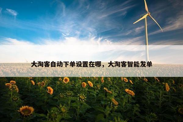 大淘客自动下单设置在哪，大淘客智能发单