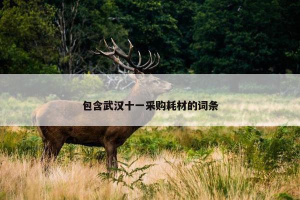 包含武汉十一采购耗材的词条